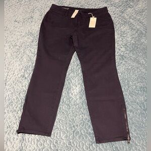 NWT Ann Taylor Denim Ankle Pants Size 12 Modern Fit Navy Blue 5 Pocket Stretch